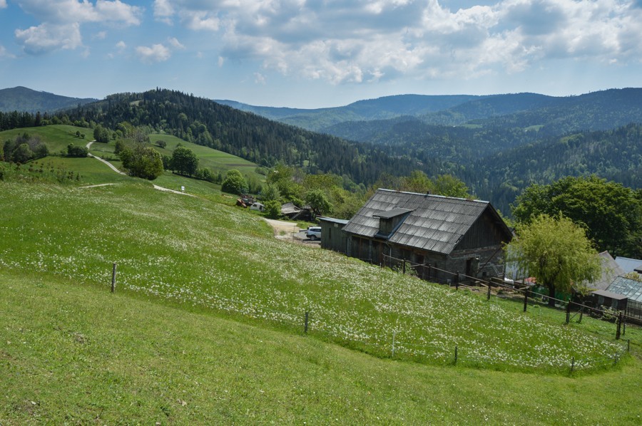 14 - Cienków widokowy, Zielony Kopiec i Czupel z Wisły