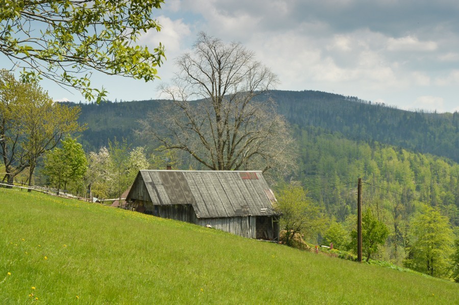 46 - Cienków widokowy, Zielony Kopiec i Czupel z Wisły