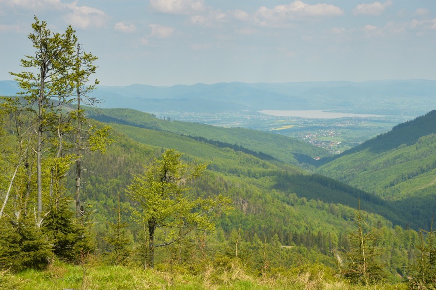 49 - Cienków widokowy, Zielony Kopiec i Czupel z Wisły