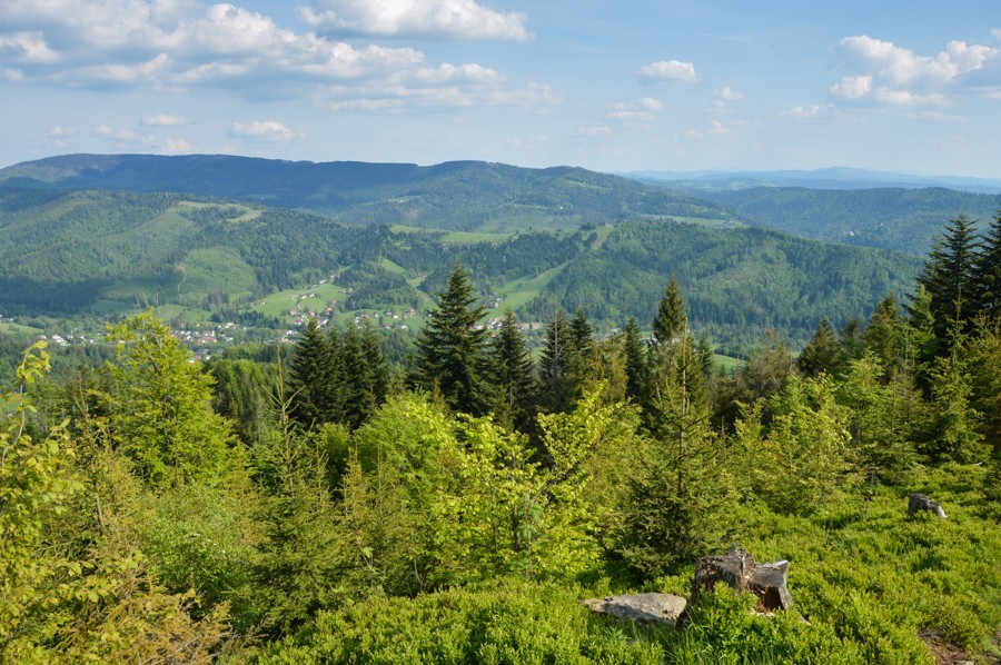 72 - Cienków widokowy, Zielony Kopiec i Czupel z Wisły