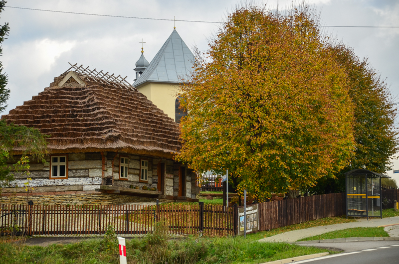 108 - Zielony szlak Zagórz - Krysowa solo