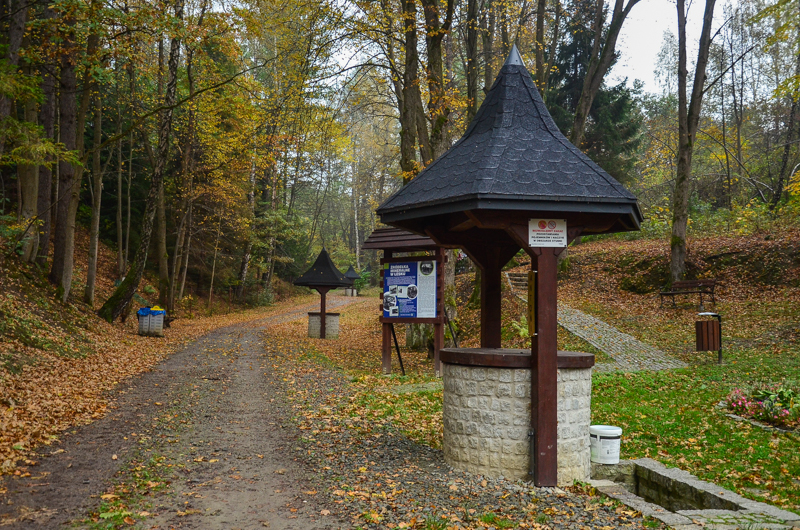 34 - Zielony szlak Zagórz - Krysowa solo